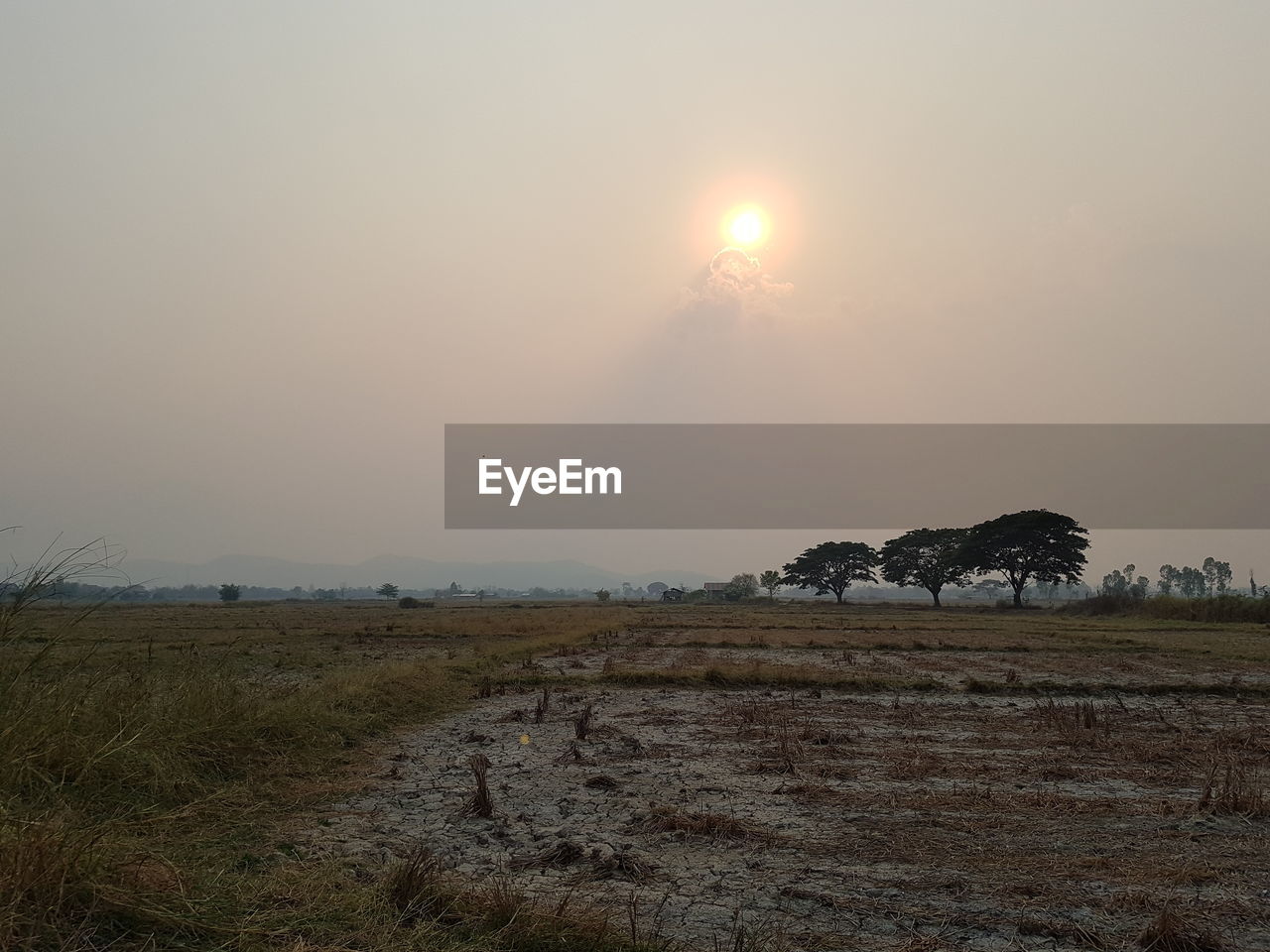 Scenic view of field against sky during sunset