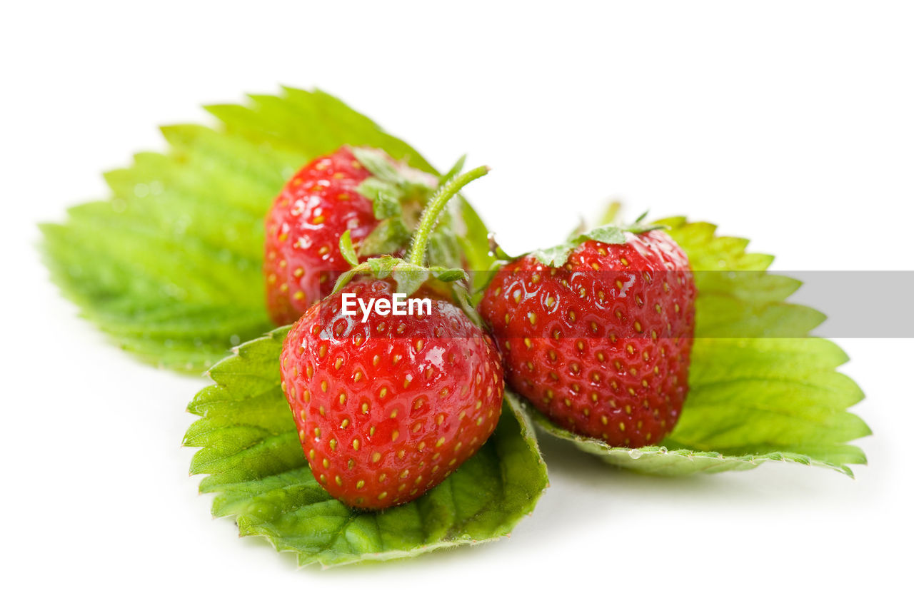 CLOSE-UP OF STRAWBERRIES ON WHITE BACKGROUND