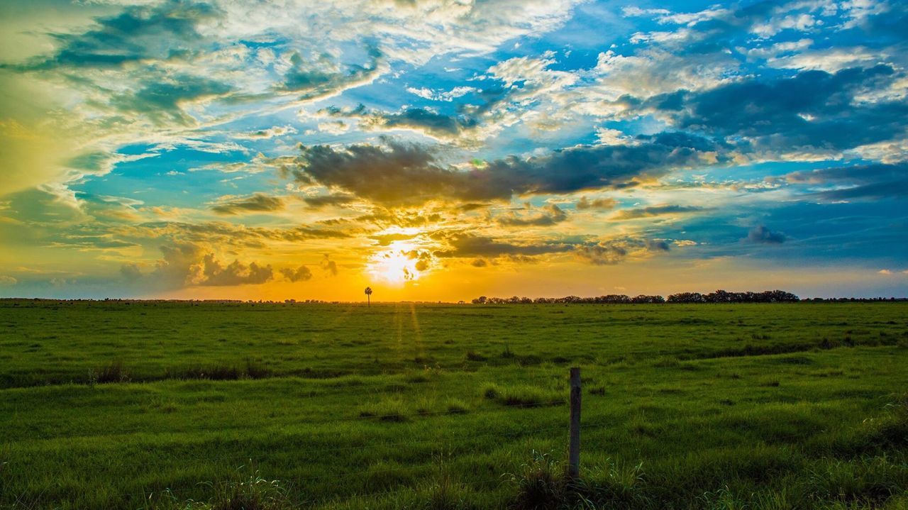 SCENIC VIEW OF AGRICULTURAL FIELD AGAINST SKY AT SUNSET