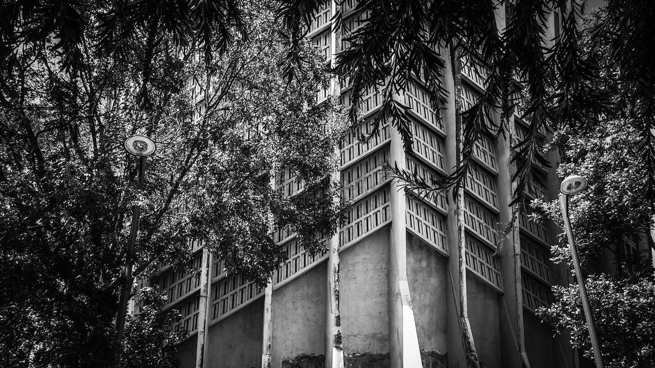 LOW ANGLE VIEW OF TREES AGAINST BUILDING