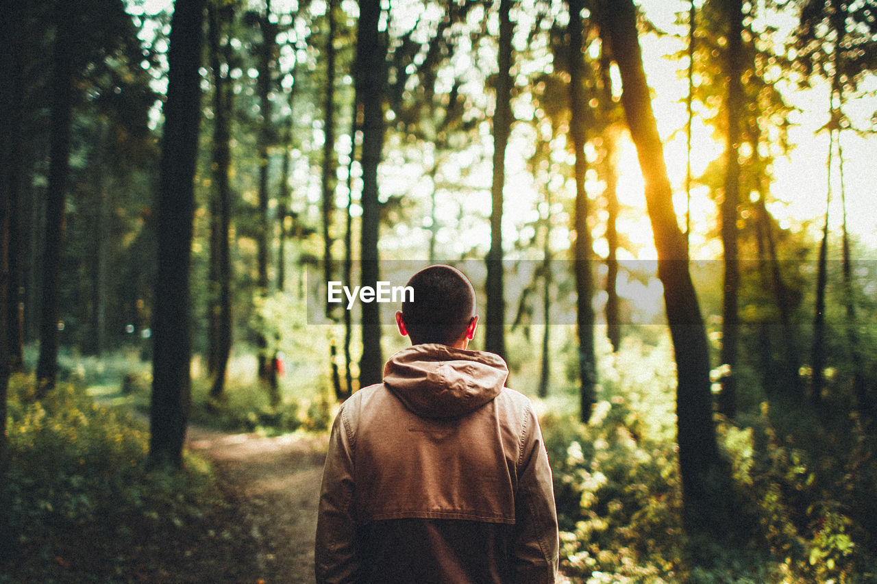 REAR VIEW OF MAN STANDING ON ROCK IN FOREST