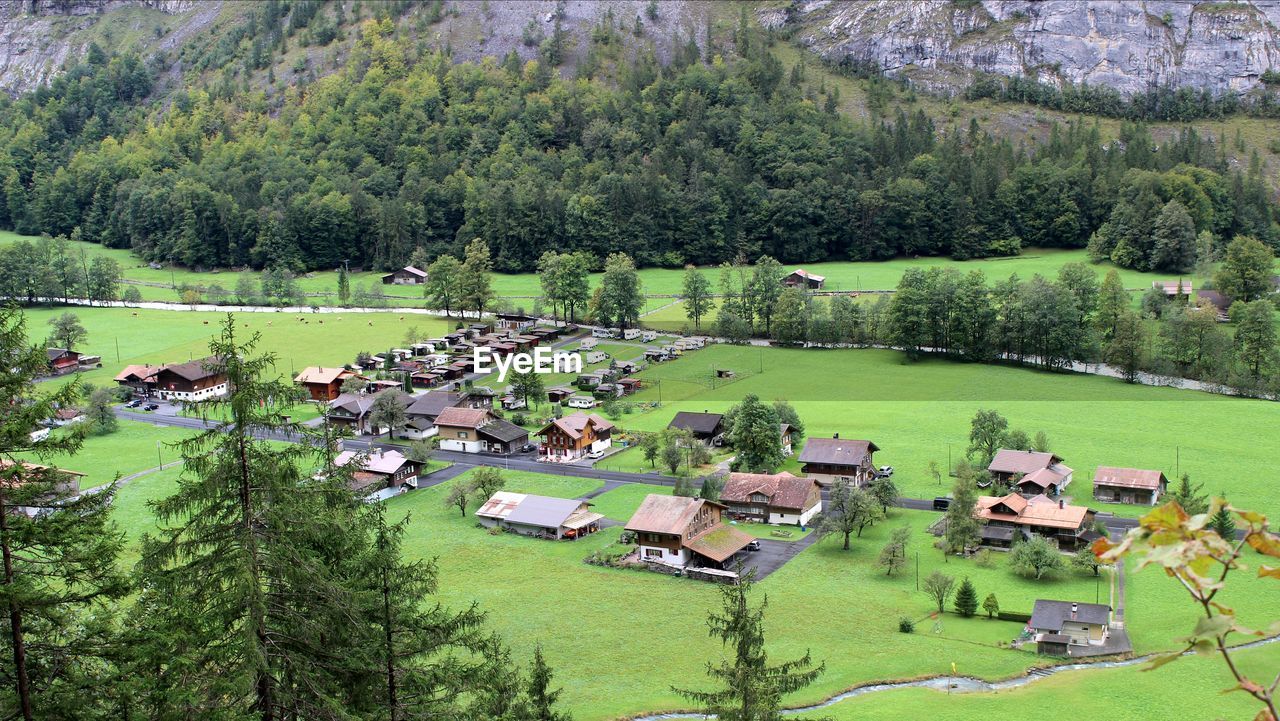 High angle view of trees on field