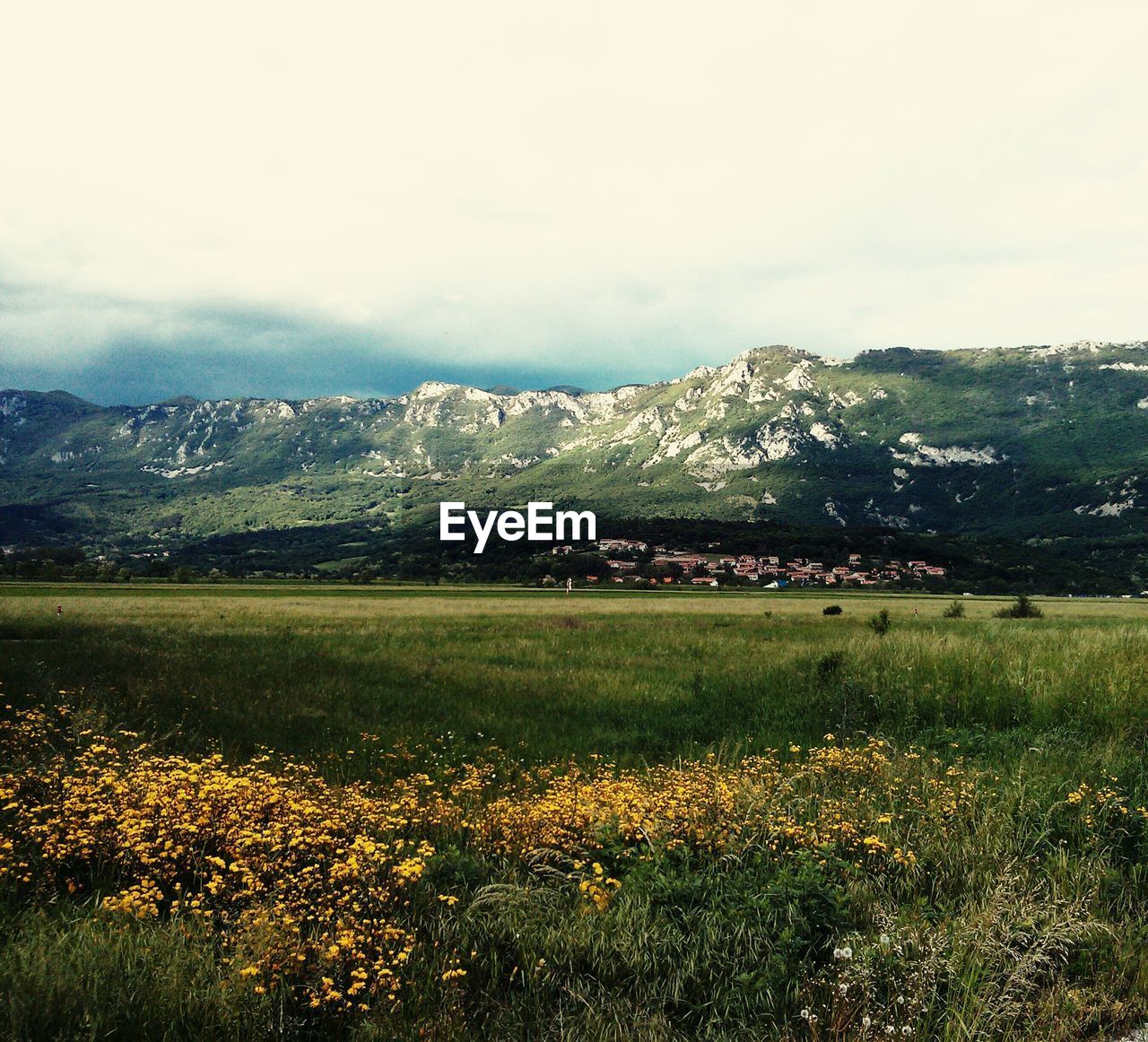 SCENIC VIEW OF GRASSY FIELD BY MOUNTAIN AGAINST SKY