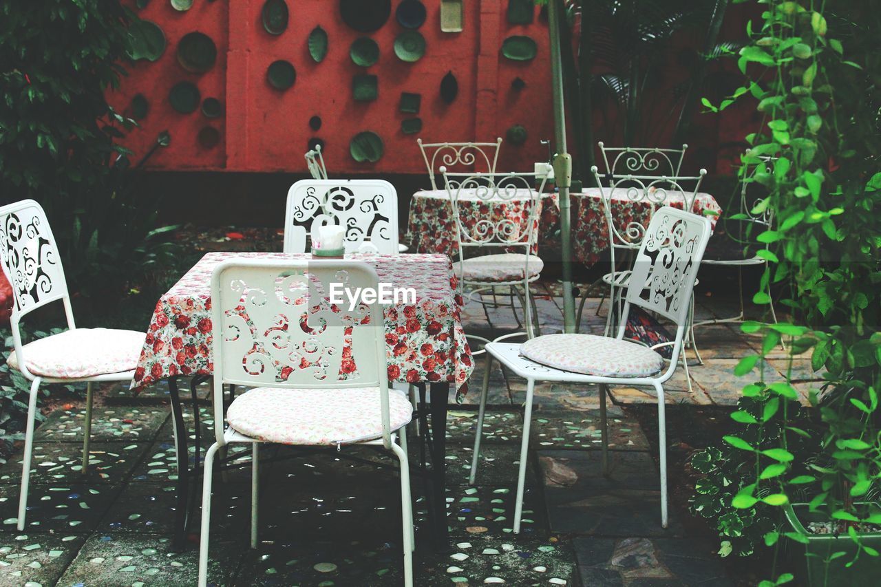 Empty chairs and table by plants at cafe