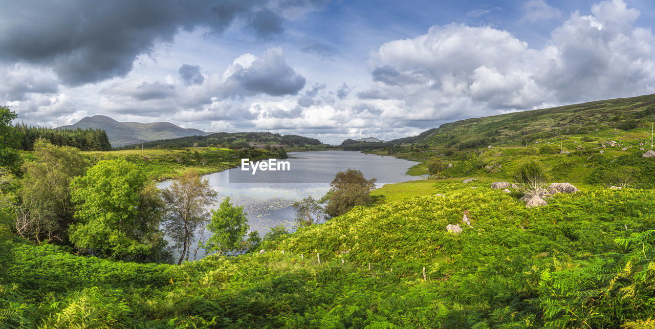 Large panorama with beautiful lake, looscaunagh, surrounded by green hills ring of kerry, ireland