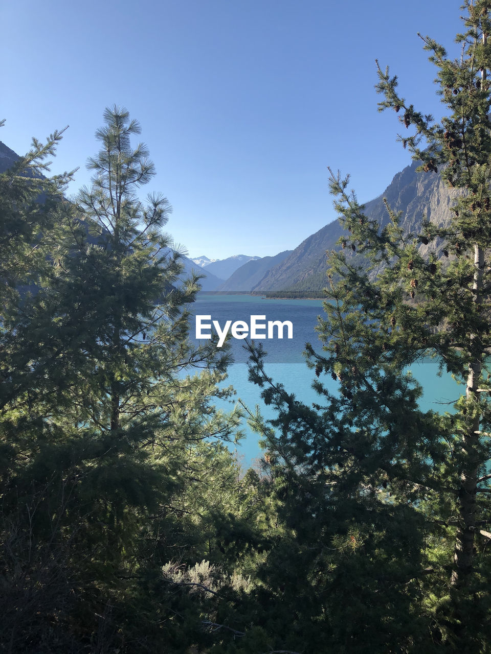 A view at seton lake campsite in lillooet, bc, canada