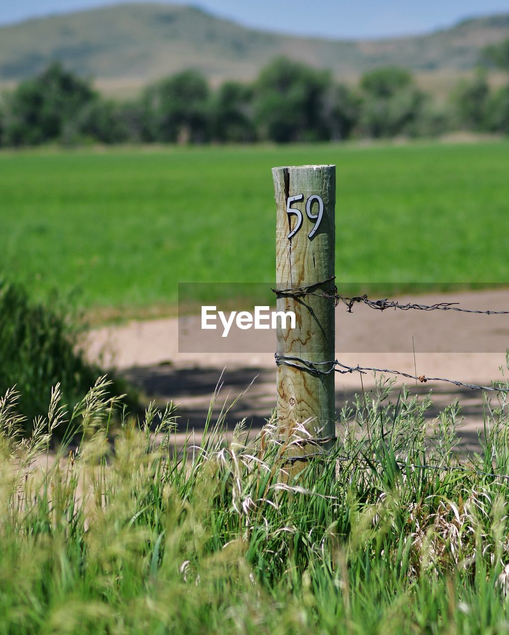 grass, green, plant, rural area, nature, agriculture, lawn, no people, landscape, grassland, land, day, field, environment, natural environment, soil, tree, meadow, sky, outdoors, prairie, rural scene, scenics - nature, tranquility