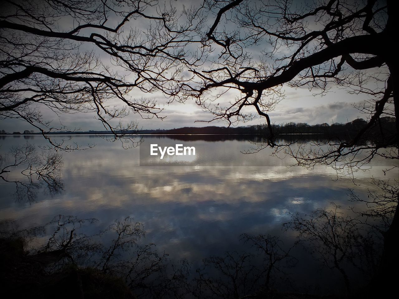 BARE TREES AGAINST CLOUDY SKY AT SUNSET