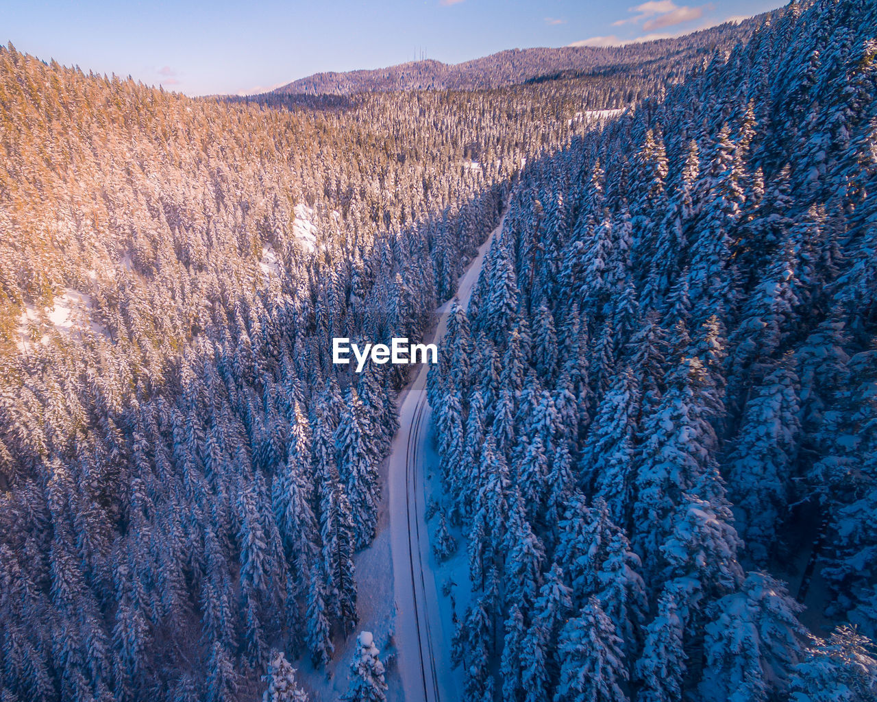 Scenic view of snow covered land