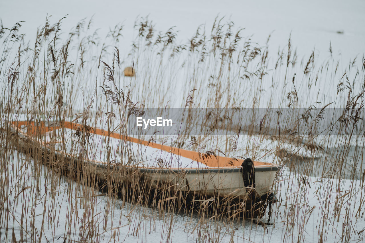 Scenic view of lake during winter