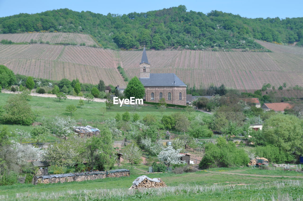 SCENIC VIEW OF AGRICULTURAL FIELD BY HOUSES AND TREES