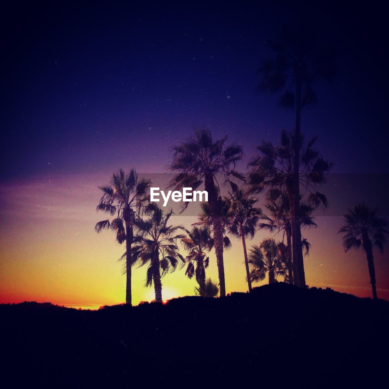 Silhouette of trees against sky during sunset