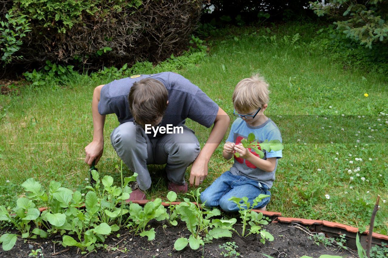 Father and son gardening at back yard