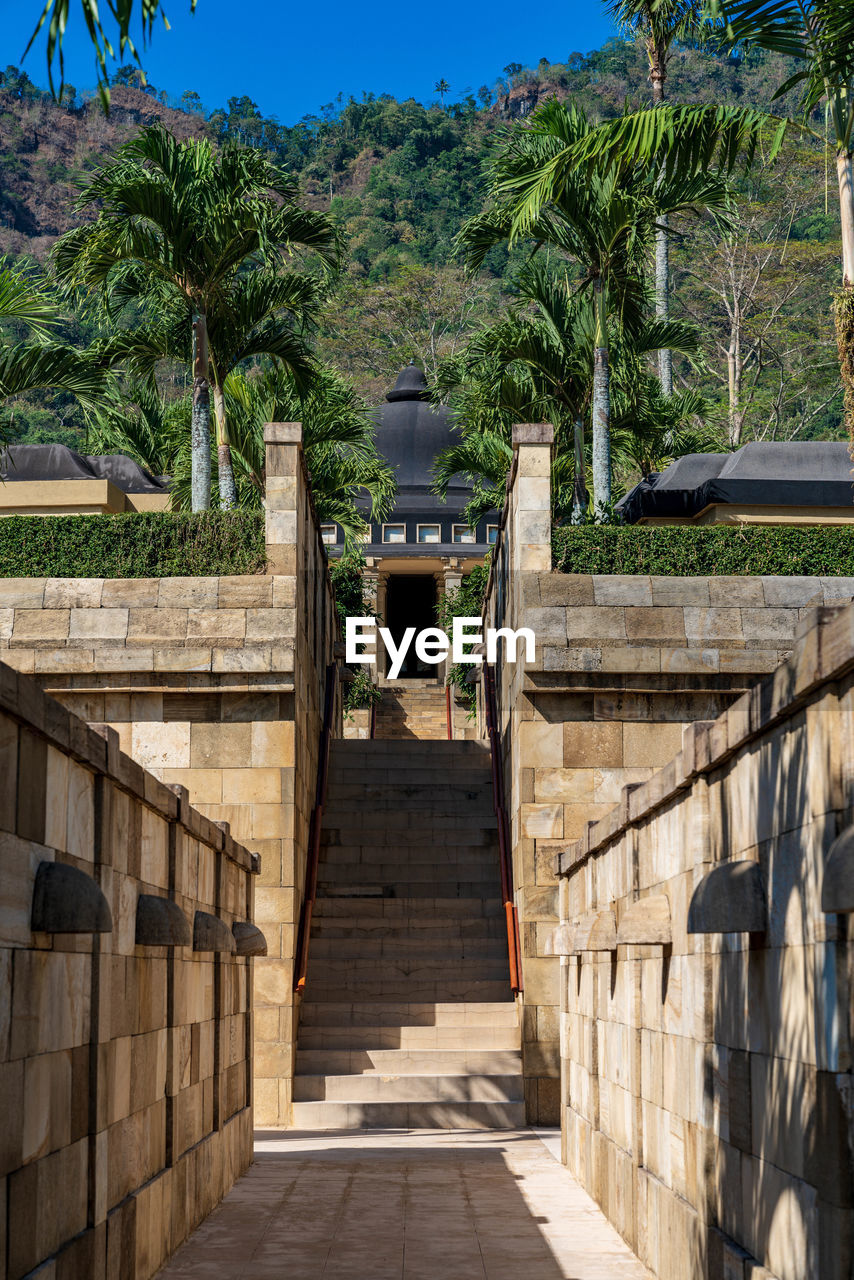 Staircase leading towards palm trees