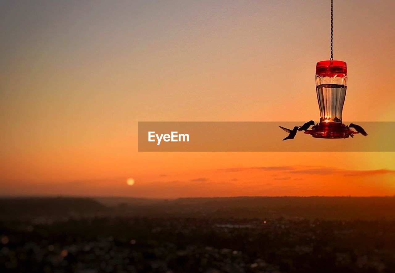 Silhouette kingfishers on bird feeder against sky during sunset