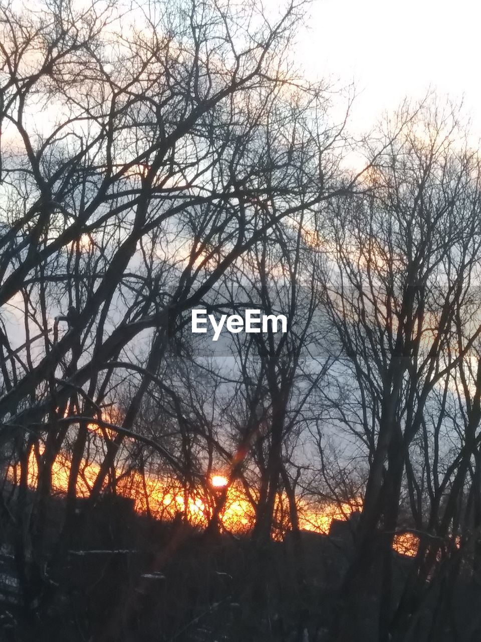 LOW ANGLE VIEW OF SILHOUETTE BARE TREES AGAINST SKY