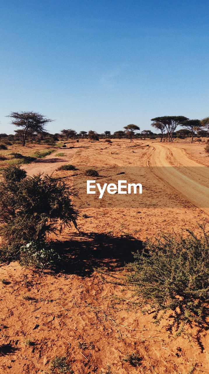 SCENIC VIEW OF FIELD AGAINST CLEAR SKY