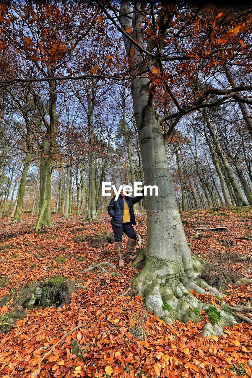 Portrait of woman standing by tree trunk during autumn