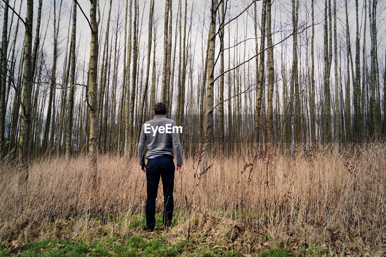 Rear view of man standing against bare trees in forest