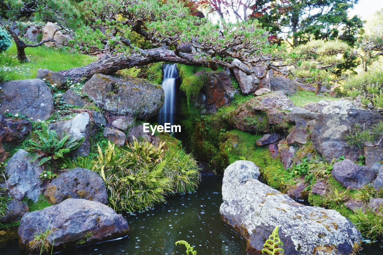 STREAM FLOWING THROUGH ROCKS