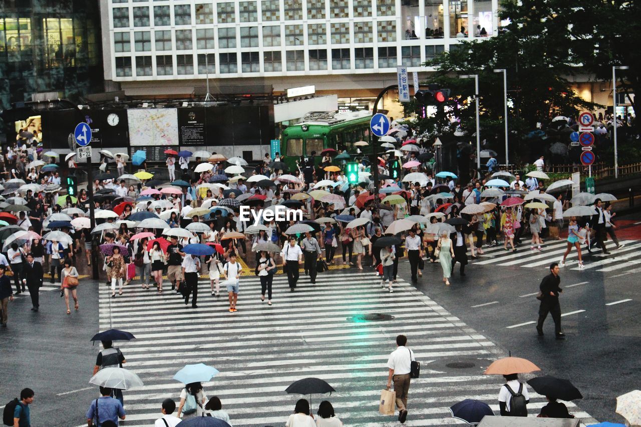 High angle view of crowd walking on zebra crossing during rainy season