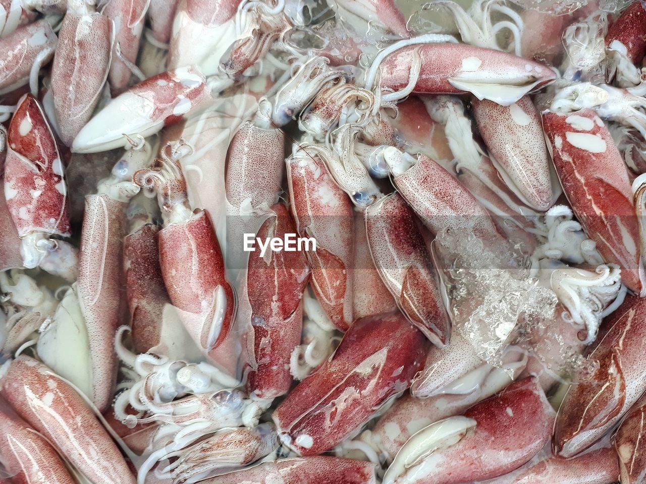 CLOSE-UP OF FISH FOR SALE IN MARKET