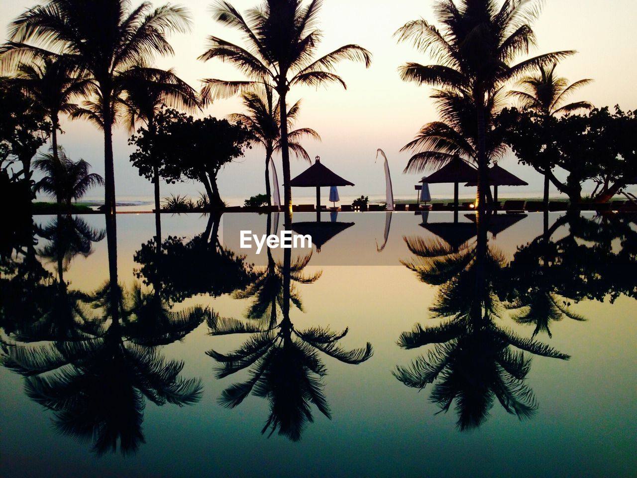 Silhouette palm trees by swimming pool against sky during sunset