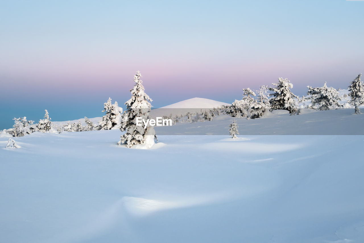 scenic view of snow covered landscape against sky