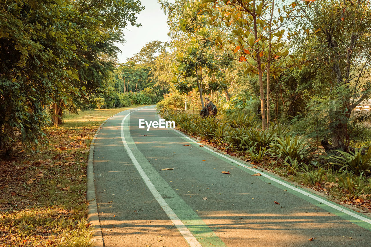 ROAD AMIDST TREES AGAINST PLANTS