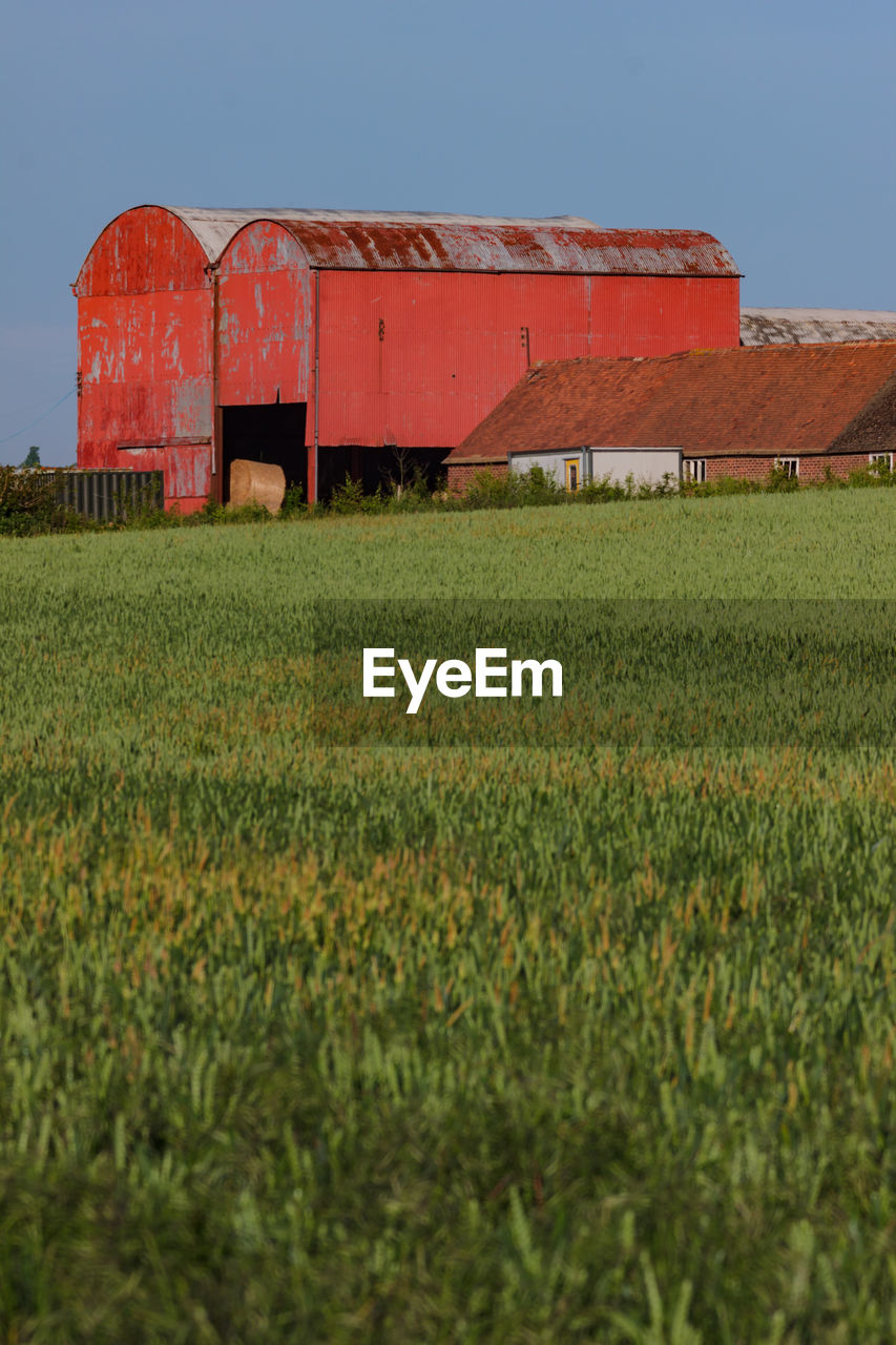 Scenic view of agricultural field against clear sky