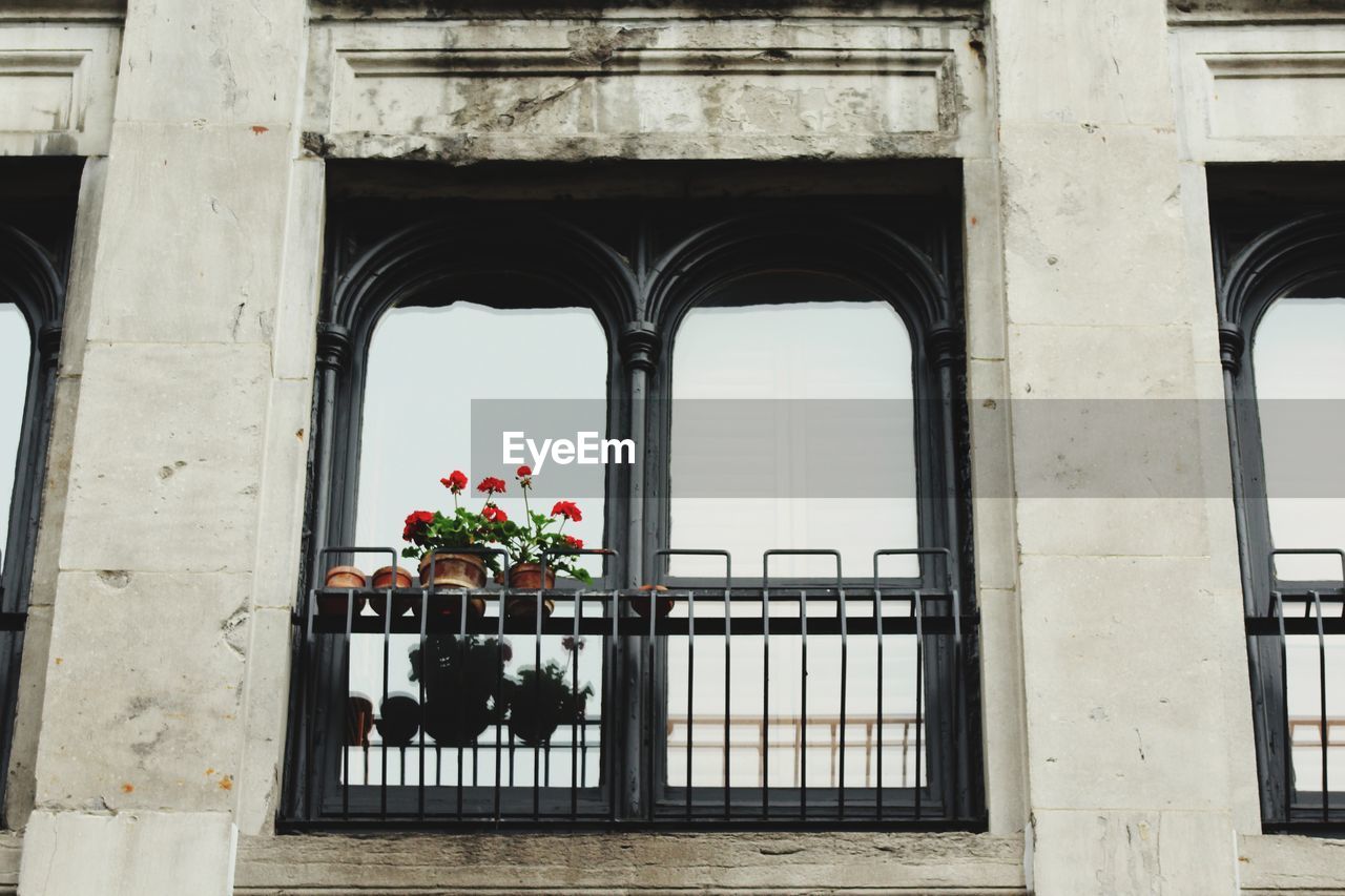 Potted plants on balcony of building