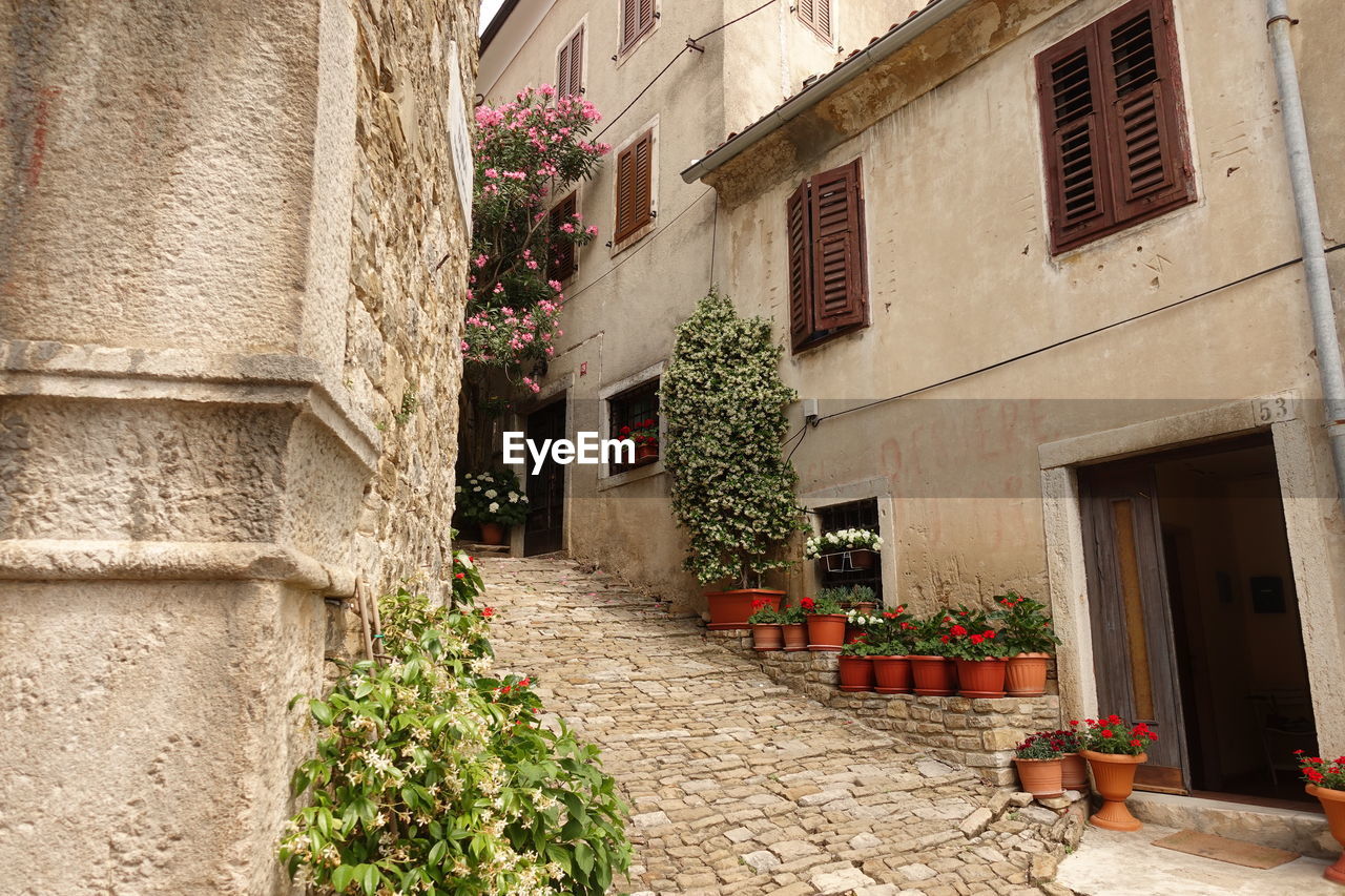 Low angle view of old building