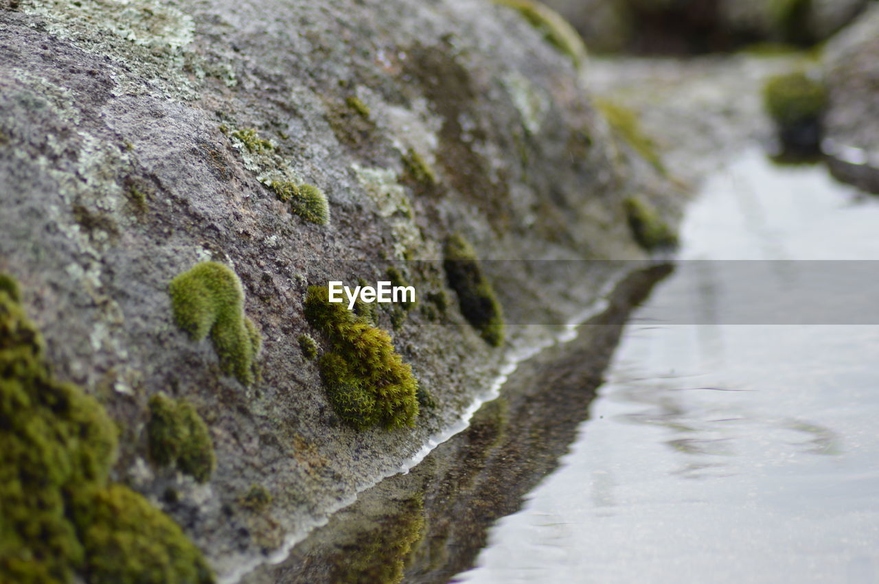 CLOSE-UP OF WATER AT BEACH