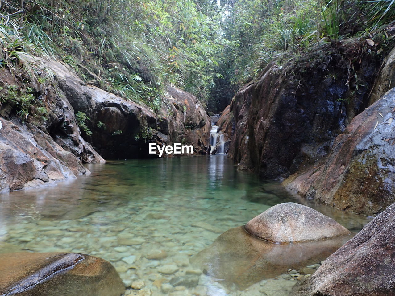 SCENIC VIEW OF RIVER FLOWING THROUGH FOREST