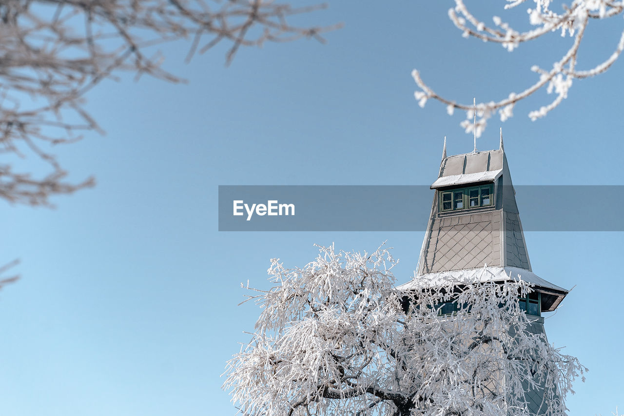 Low angle view of tree and building against sky