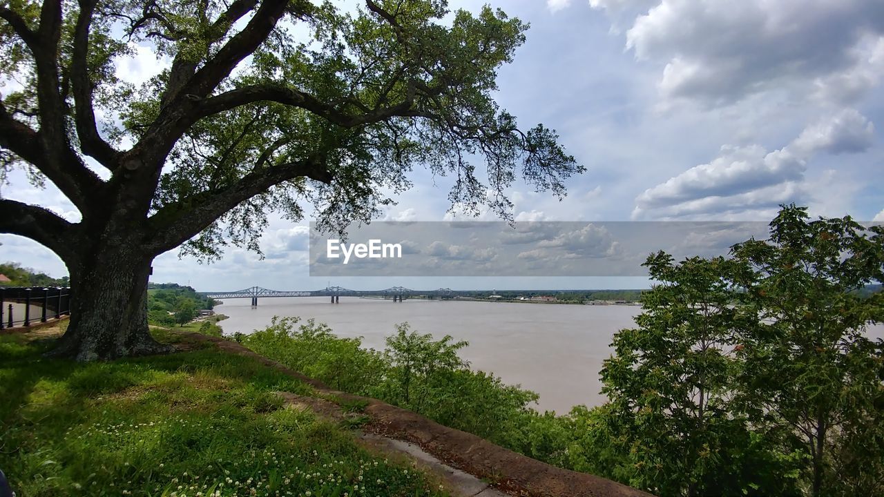 SCENIC VIEW OF RIVER BY TREES AGAINST SKY