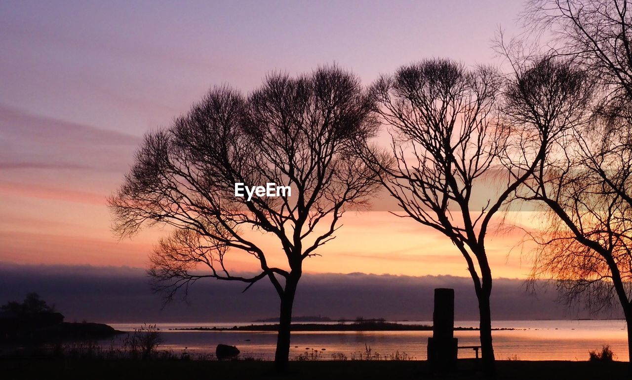 sky, sunset, tree, silhouette, dawn, beauty in nature, bare tree, nature, plant, scenics - nature, water, environment, landscape, tranquility, cloud, evening, tranquil scene, land, orange color, no people, afterglow, sun, sea, horizon, outdoors, beach, branch, dramatic sky, red sky at morning, idyllic, travel destinations, romantic sky, tree trunk, twilight, trunk, non-urban scene, horizon over water, multi colored, tourism