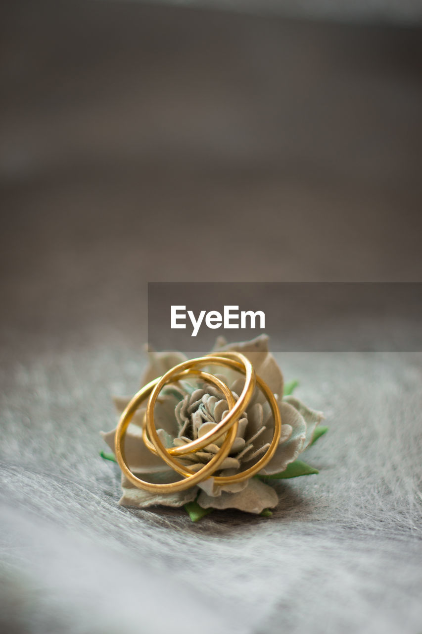 CLOSE-UP OF YELLOW ROSE ON DRY LEAF