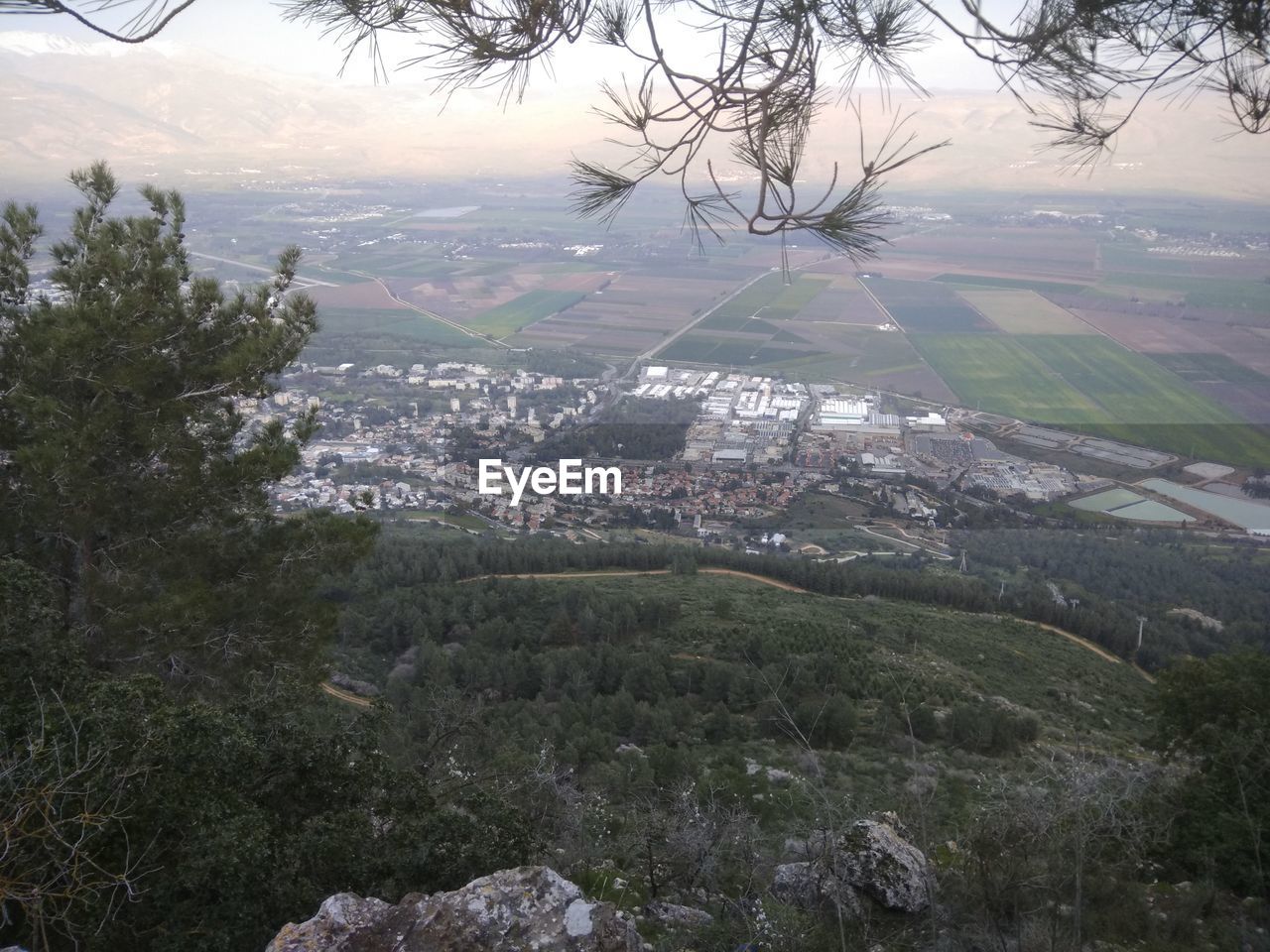 HIGH ANGLE VIEW OF TREES AND LANDSCAPE AGAINST SKY