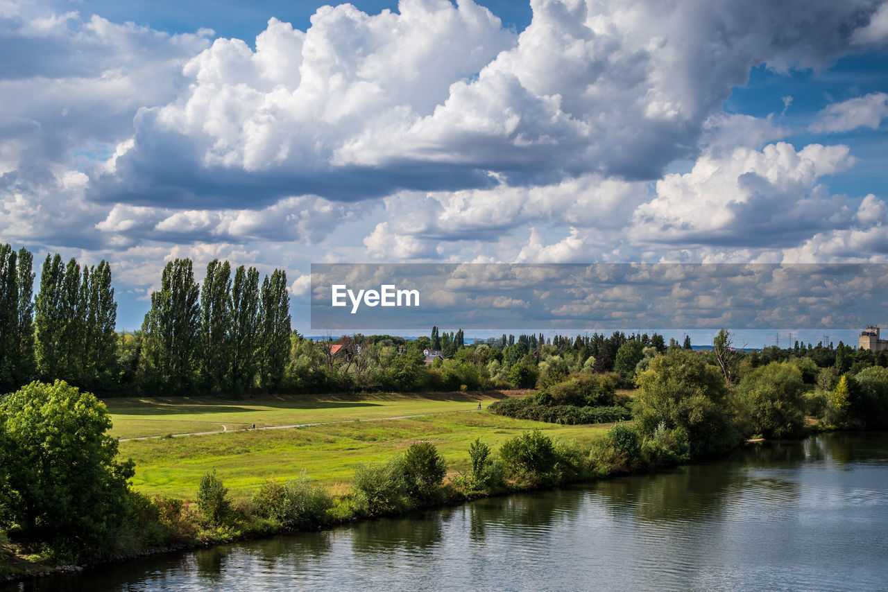 TREES BY LAKE AGAINST SKY