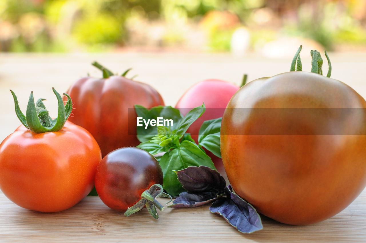 CLOSE-UP OF TOMATOES AND VEGETABLES ON TABLE