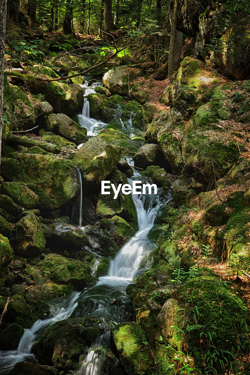 SCENIC VIEW OF WATERFALL