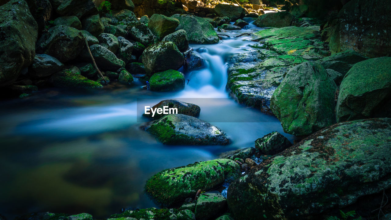 River flowing through rocks in forest