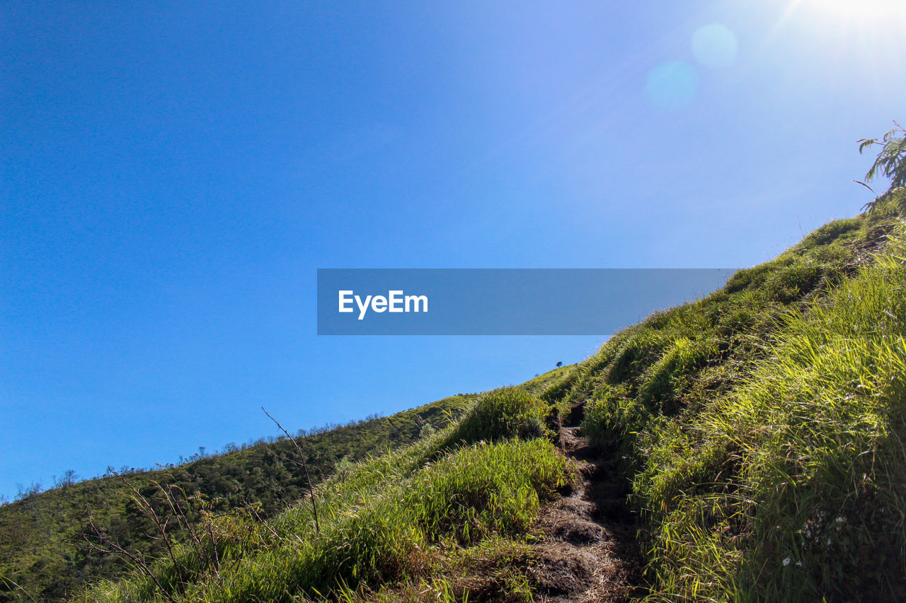 Scenic view of landscape against clear blue sky