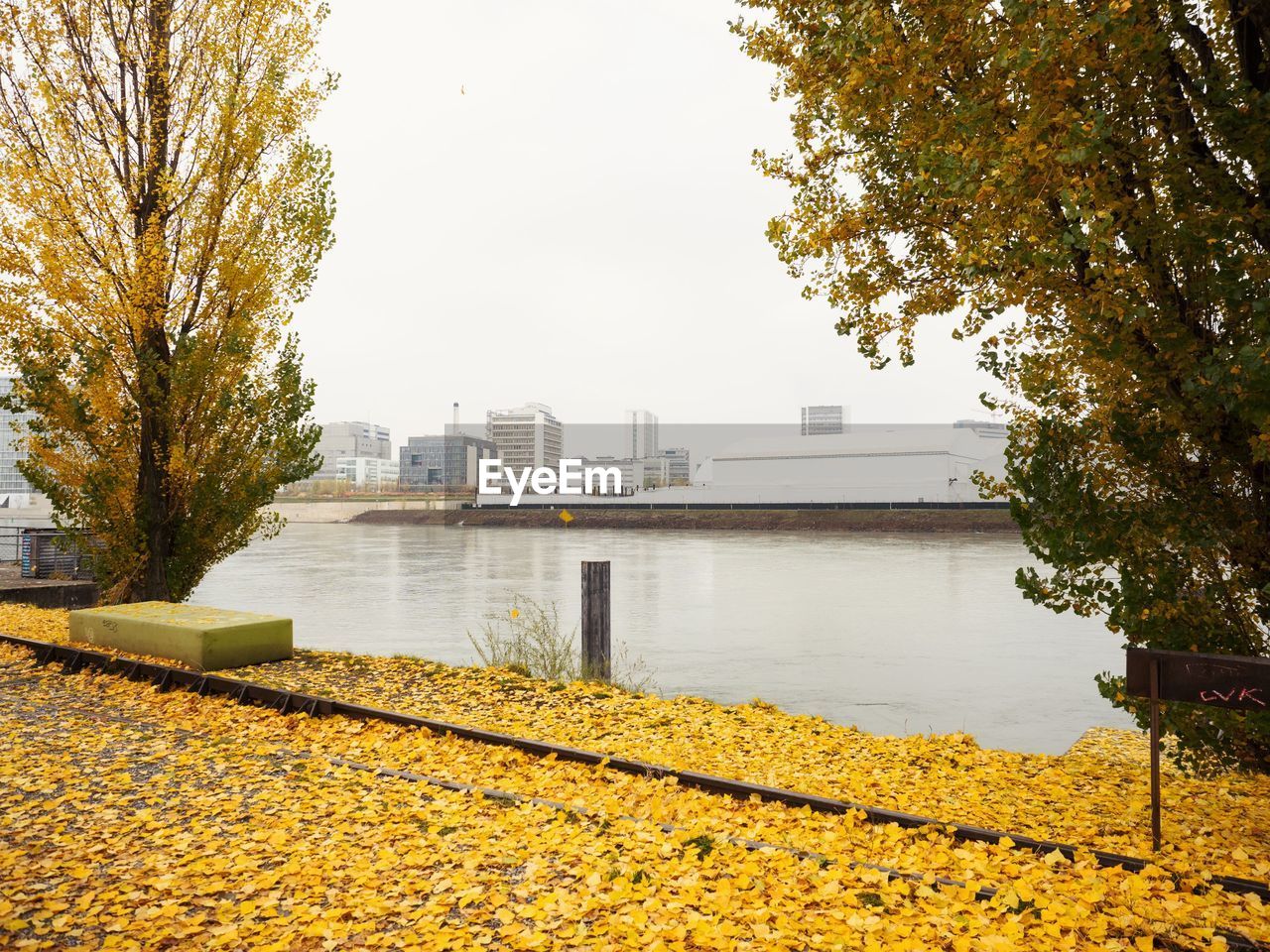 Plants by buildings against sky during autumn