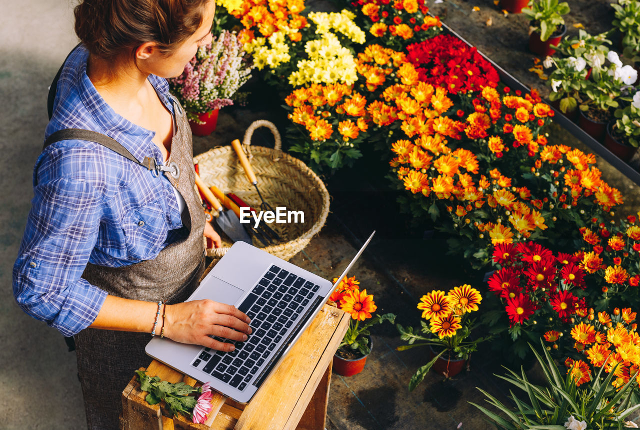 From above side view of crop woman in apron standing at wooden counter with tools and margarita flowers and working with laptop while searching agriculture business information