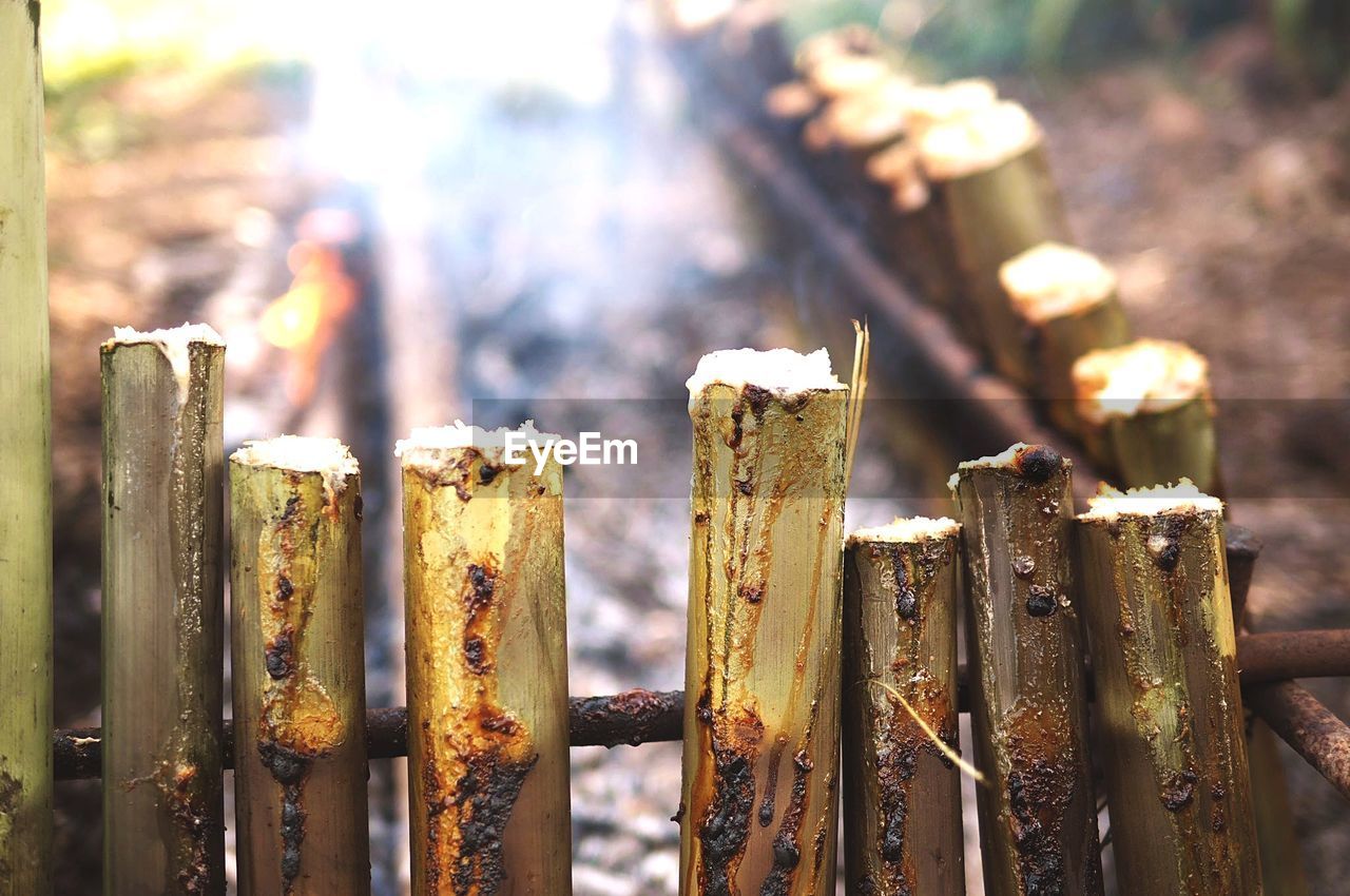 CLOSE-UP OF WOOD OUTDOORS