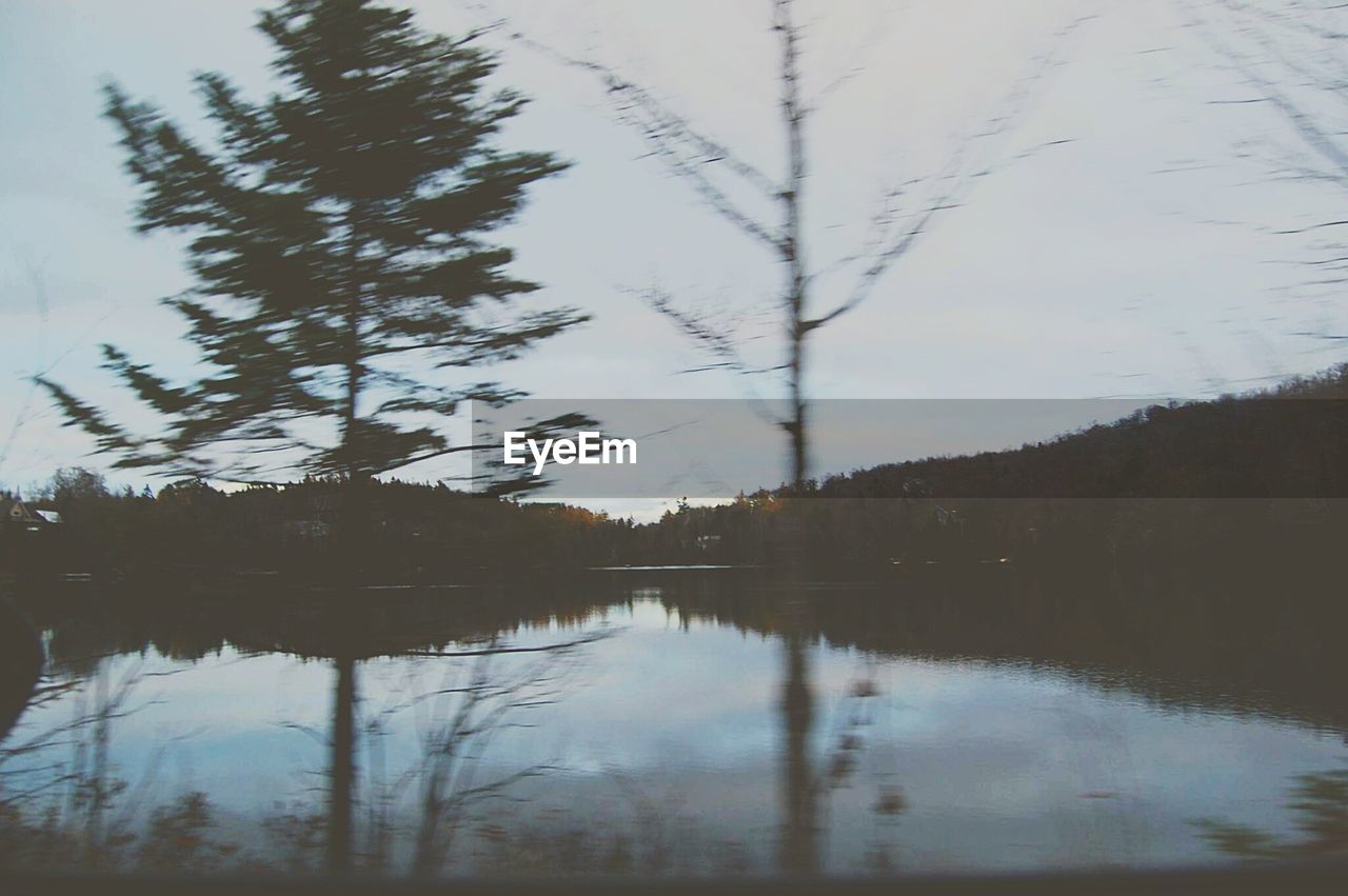 REFLECTION OF TREES IN LAKE