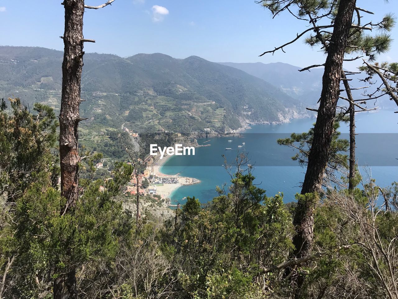 Scenic view of trees and mountains against sky