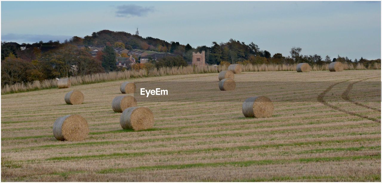 Hay bales on field against sky